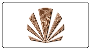 DSC700 602 BZ WT Bronze Sunburst White Background